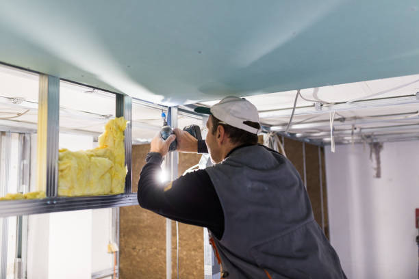 Best Local Insulation Services  in Rk Forest Village, PA
