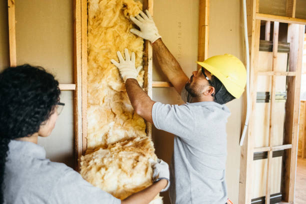 Best Insulation Contractor Near Me  in Rk Forest Village, PA
